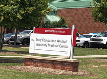 NCSU College of Veterinary Medicine